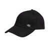 Kép 1/3 - Dickies Morrilton baseball sapka