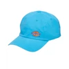 Kép 1/3 - Dickies Willow City baseball sapka