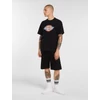 Kép 3/7 - Dickies Icon rövid ujjú póló